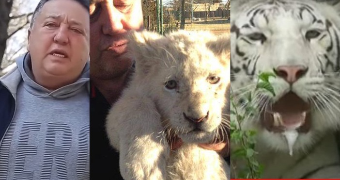 Шефът на зоопарка в Харков Украйна каза че може да се