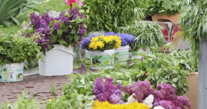 Сняг на Цветница вещаят метеоролозите През нощта ще бъде предимно ясно