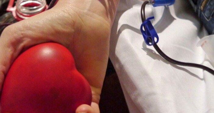 Екипите на НЦТХ на регионалните центрове по трансфузионна хематология и