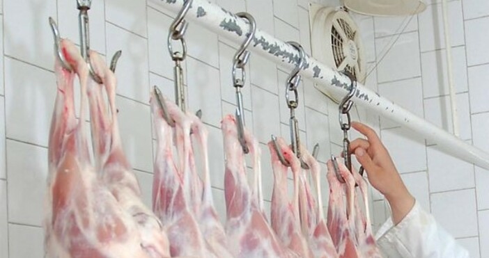 С наближаването на Великден се повишава цената на най желаното месо Между 50