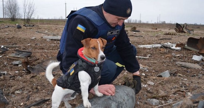 Снимки Национална спасителна служба на УкрайнаКазват, че героите могат да