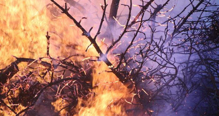 Пожар избухна в северните поли на Родопите над пазарджишкото село