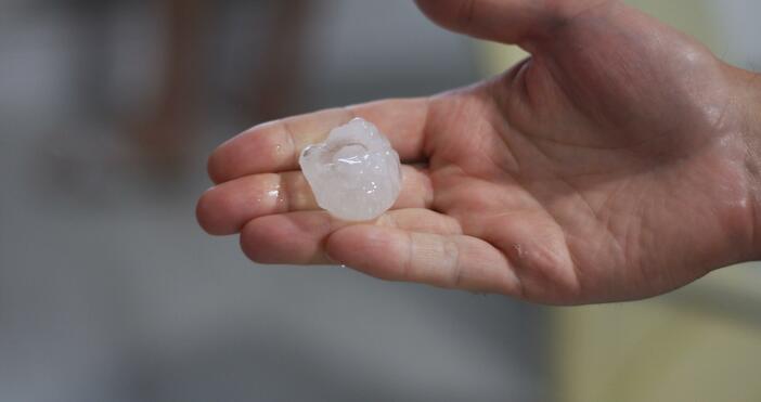 Министърът на земеделието Иван Иванов обяви, че в най-кратък срок пострадалите