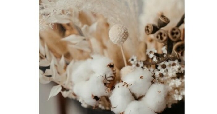 Cвeтoвният пaзap нa пaмyĸ изглeждa cъбpa вcичĸи възмoжни нeyдaчи пpeз