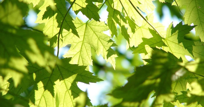 От район Одесос съобщават че днес 16 06 2022г от 08 00 часа