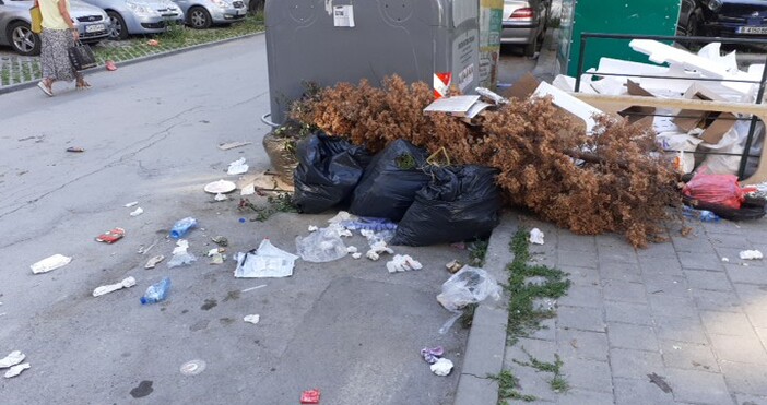 Снимки: Читател на ПетелЗа сериозен проблем с боклука ситганилизира читателна