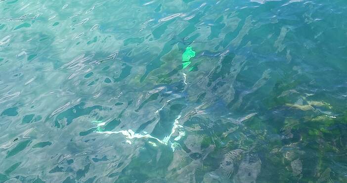 Снимки ЧитателДве тротинетки са хвърлени в морето на Втора буна