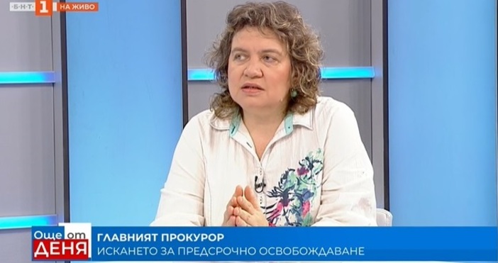 Преподавателят по конституционно право доц Наталия Киселова коментира разглеждането във