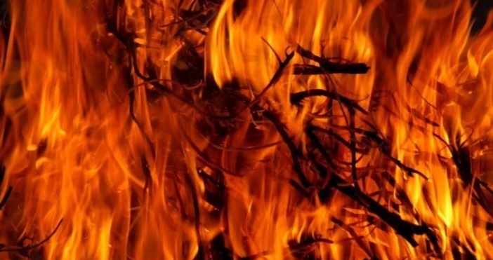 Евакуираха над 100 души заради горски пожар в Италия Огънят