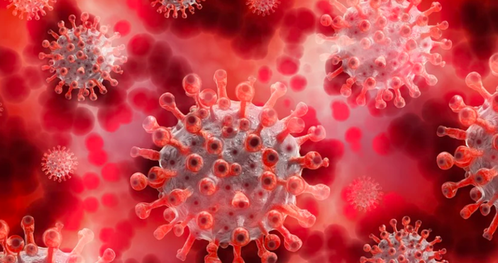 В 19 области на страната има увеличение на заболелите с