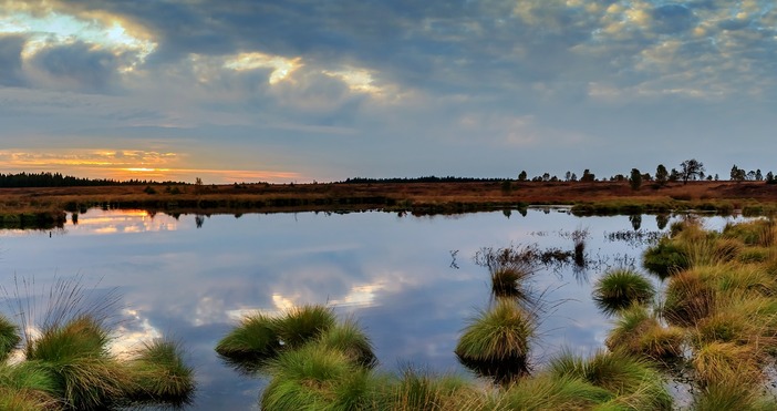 Дунав се превръща в пустиня Критично ниско е нивото на