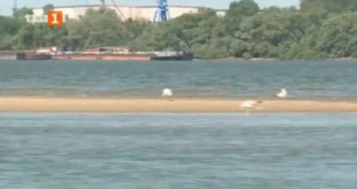 Нивото на река Дунав остава екстремно ниско. В българския участък