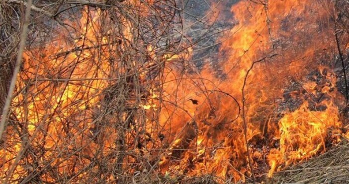 Пожар бушува на границата на областите Хасково и Стара Загора