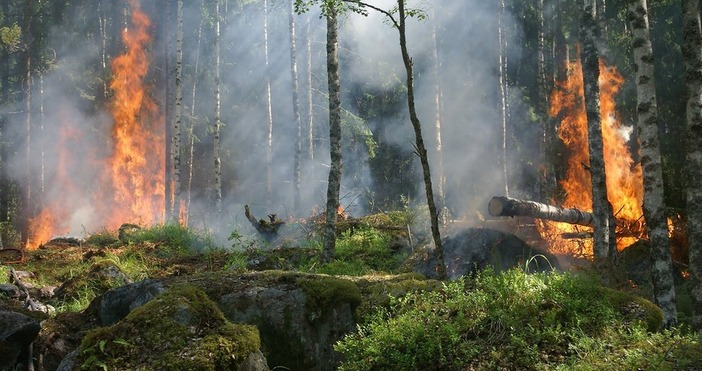 Пожарите, които изпепелиха десетки хиляди декари гори във Франция, Испания