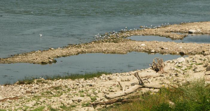 Критично ниско продължава да е нивото на река Дунав.В района
