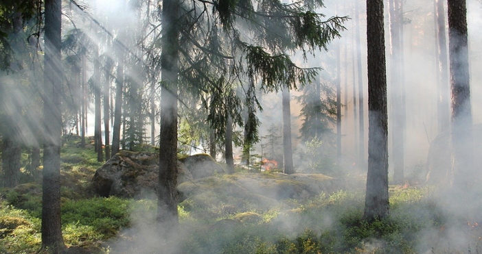 Огнен ад на юг в България Нов пожар в страната Този