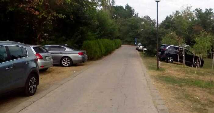 Във Варна това лято бяха спрени автомобилите на част от
