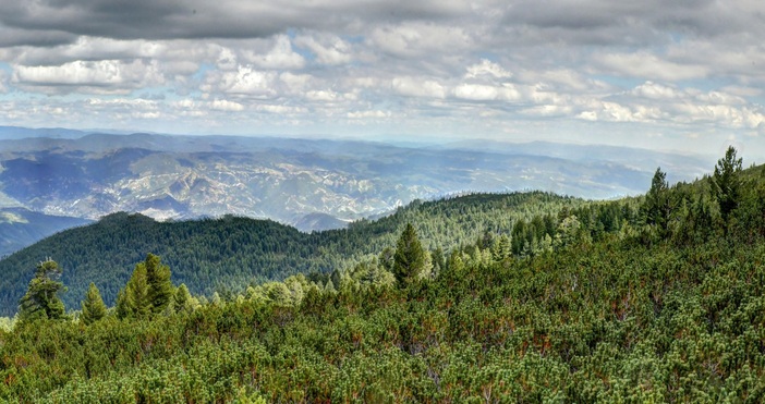 Планинските спасители от Банско и Добрин­ище в момента провеж­дат тежка