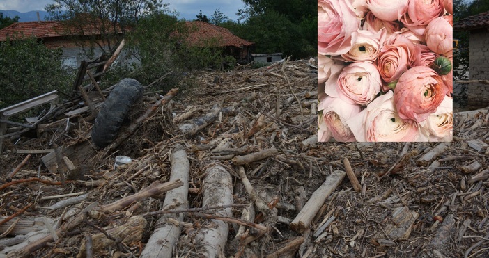 Снимки: и PexelsПарите, предвидени за букет в първия учебен ден,