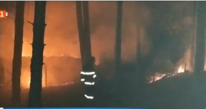 Пожар гори в парк Тюлбе в КазанлъкЗапалила се е постройка в боровата