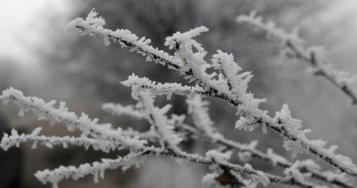В Словения температурите рязко паднаха и заваля сняг. Духа северен вятър