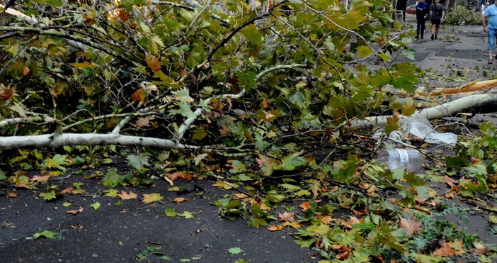 Вятър с над 100 километра в час в България.Всичко се