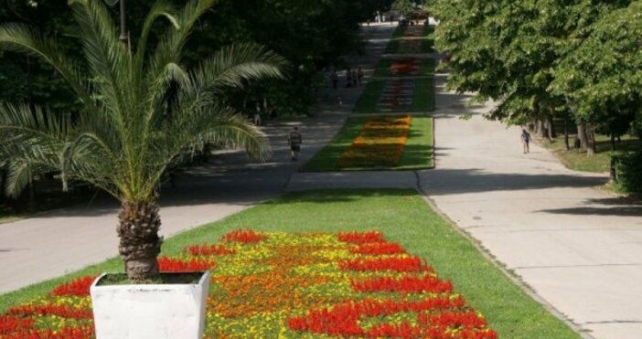 Варненските общински съветници решиха да сложат край на колите в