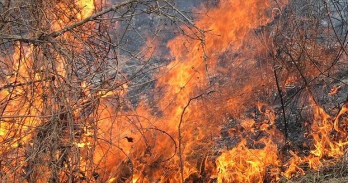 Пламна стърнище с ожъната царевица на пътя Пловдив Садово а силният вятър пречи