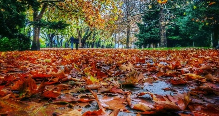 През нощта ще бъде ясно В Източна България ще духа