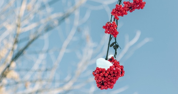 Синоптиците в Украйна прогнозират по мека зима от обикновено като се