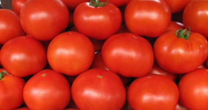 Продължава поскъпването на храните  Оранжерийните домати тази седмица поевтиняват с 1 на сто