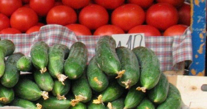 Български оранжерийни зарзавати тази година ще се намират трудно Причината