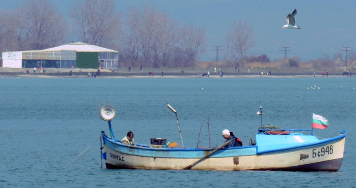  Рибарите в Царево се бунтуват заради ниската цена за изкупуване