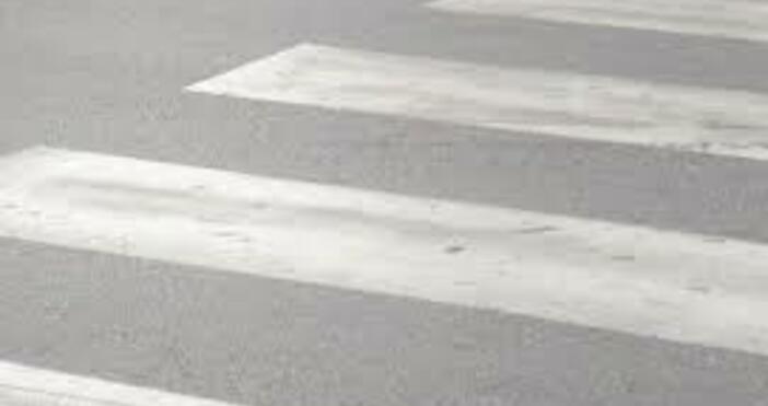 снмка 31 октомври 1951 г – първата официална зебра пешеходна