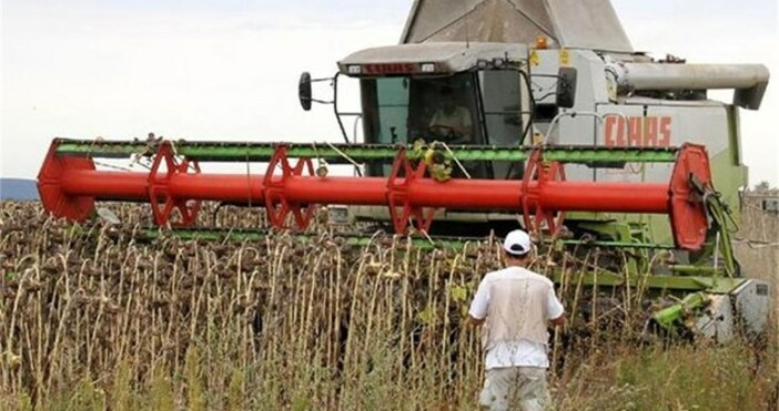 Няма защо да се притесняваме от зърнена криза. В България
