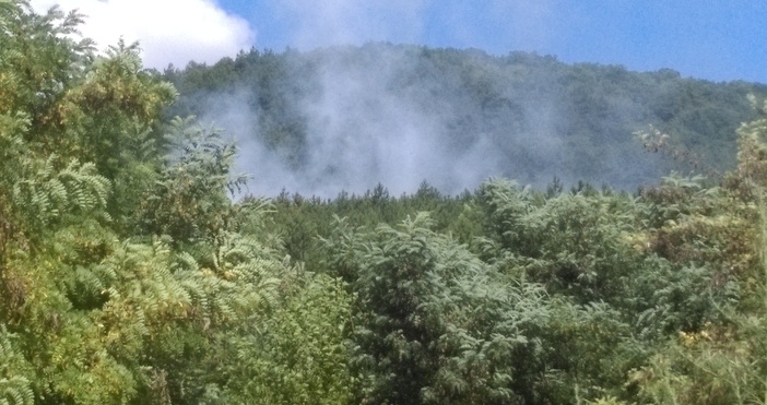 Пожарът бумна в Стара планина над Карлово Мястото е в