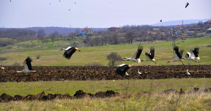 През повечето дни от следващия седемдневен период - от 11