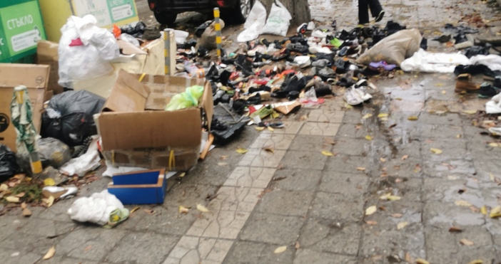 Снимки читател ПетелРазпилян боклук на ул. Доктор Пискюлиев във Варна