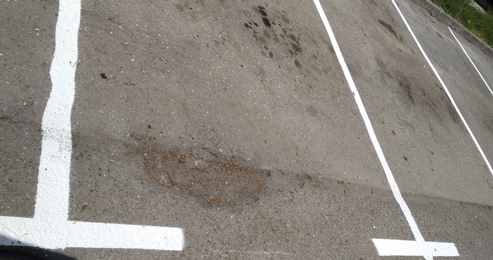 Спор за паркомясто завърши със счупена челюст в София Прокурор