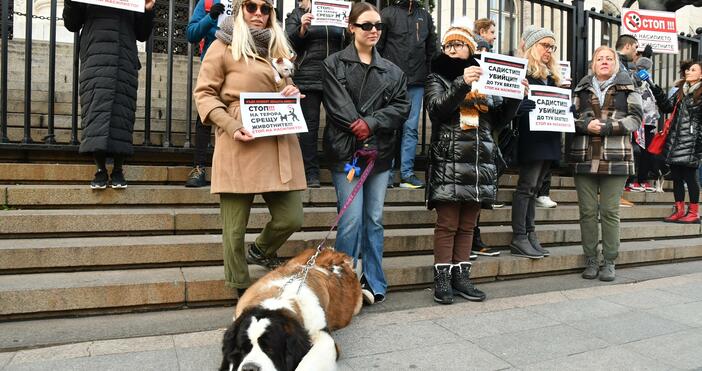 Протест в защита на кучето Мечо и срещу насилието на