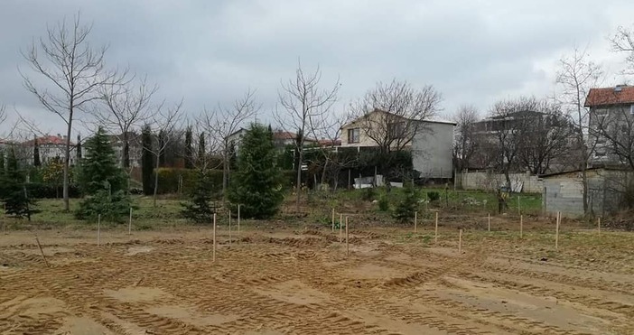 В парк Борисова градина - Фичоза обособиха място за засаждане