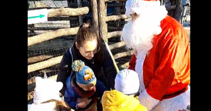 Дядо Коледа раздаде лакомства във Варненския зоокът   Той зарадва малки и