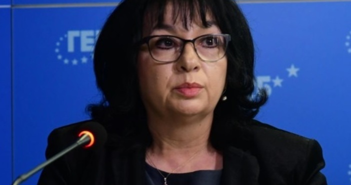 Бившият енергиен министър и настоящ депутат от ГЕРБ Теменужка Петкова