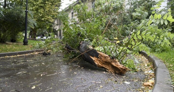 Бурният вятър прини много щети в София Аварийните екипи вече