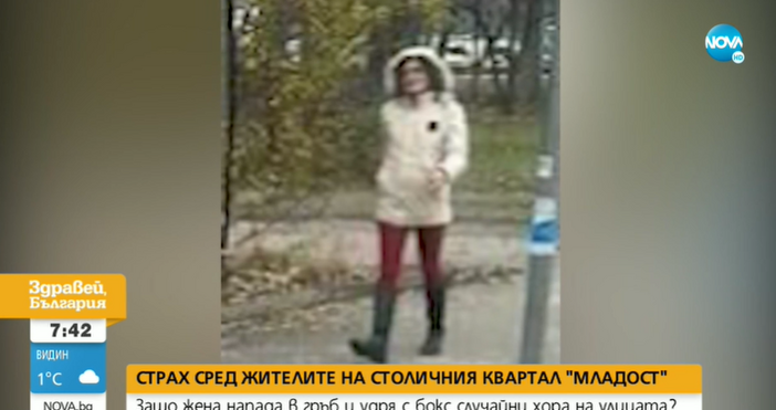Кадри Нова ТвПубликуваха първа снимка на жената, която напада хора
