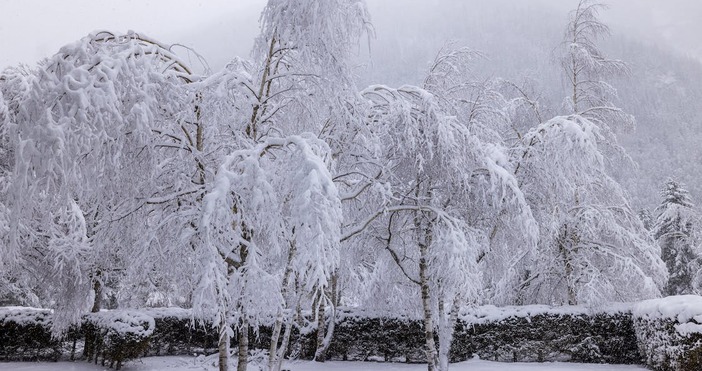 Сняг и виелици затвориха пътища и блокираха хора в някои