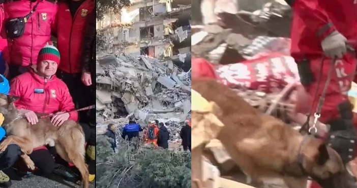 Български спасителни кучета вече са на терен в Турция и