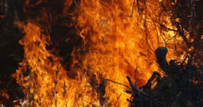 Пожар пламна край софийско село  Огъня е обхванал сухи треви които