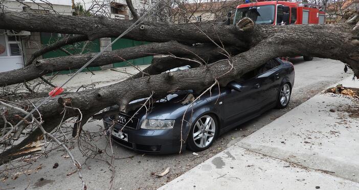 Дебело дърво падна върху спрял автомобил в Харманли.Инцидентът стана днес
