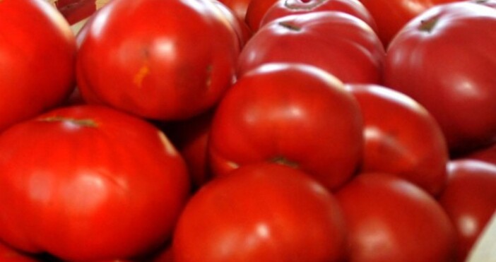 Турските домати отново ще могат да се изнасят за чужбина